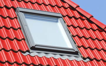 roof windows Buckridge, Worcestershire